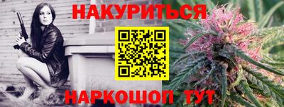 МДПВ Бийск