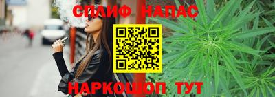 МДПВ Бийск