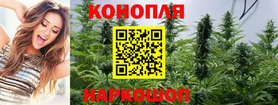 apvp Беслан