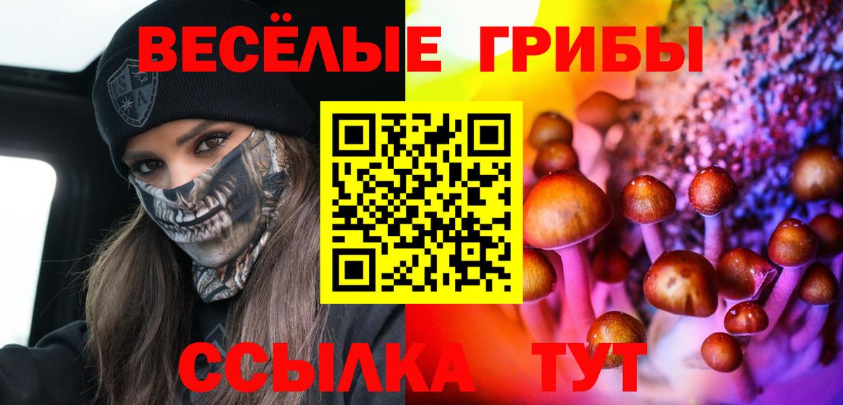 Галлюциногенные грибы Magic Shrooms  Вход с VPN  Псилоцибиновые грибы Magic Shrooms  Кисловодск 